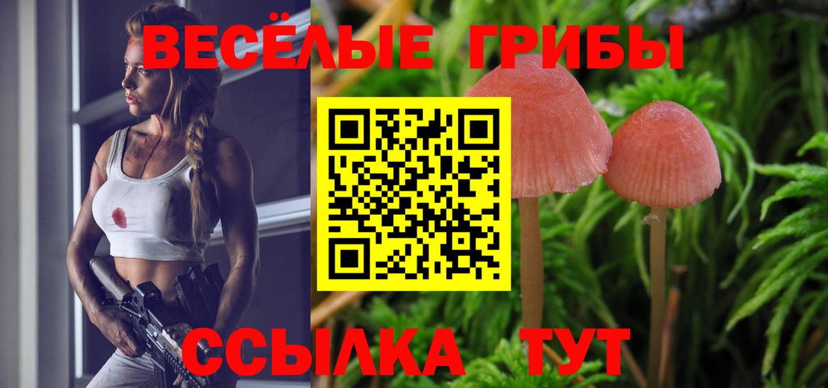 Галлюциногенные грибы Magic Shrooms Котлас